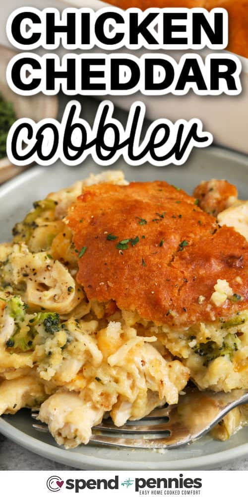 This chicken cobbler recipe with Cheddar Bay biscuit mix is all about getting big flavor from a short ingredient list. The filling stays savory and creamy, the cheddar adds richness, and the biscuit layer creates that cozy baked finish everyone loves. It is especially helpful on nights when there is cooked chicken in the fridge and dinner needs to feel complete without extra side dishes or extra work. #spendwithpennies close up of plated Cheddar Chicken Cobbler with a title