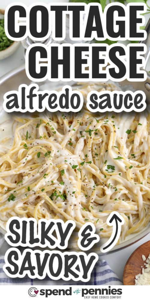 silky and savoury Cottage Cheese Alfredo Sauce and fettuccine with writing