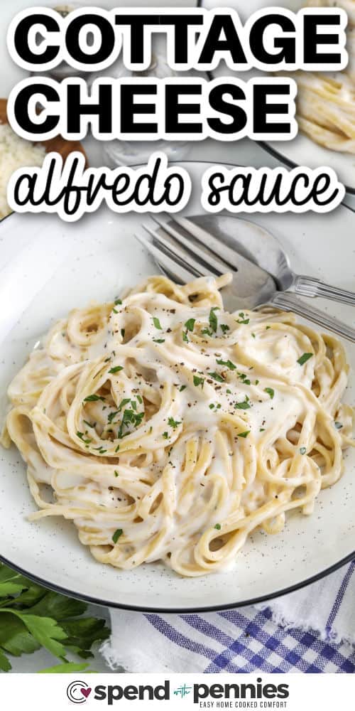 plate of Cottage Cheese Alfredo Sauce on pasta with a title