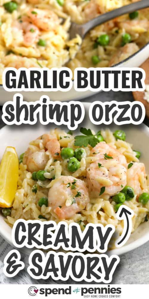 creamy and savoury Garlic Butter Shrimp Orzo in a bowl with writing