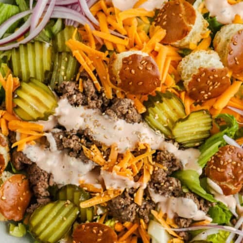 close up of Big Mac Salad