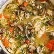Chicken and Mushroom Soup in a pot with a ladle