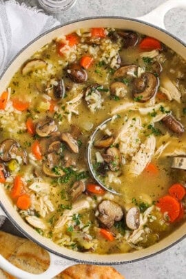 Chicken and Mushroom Soup in a pot with a ladle