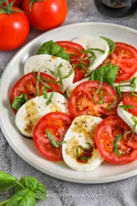 close up of Caprese Salad