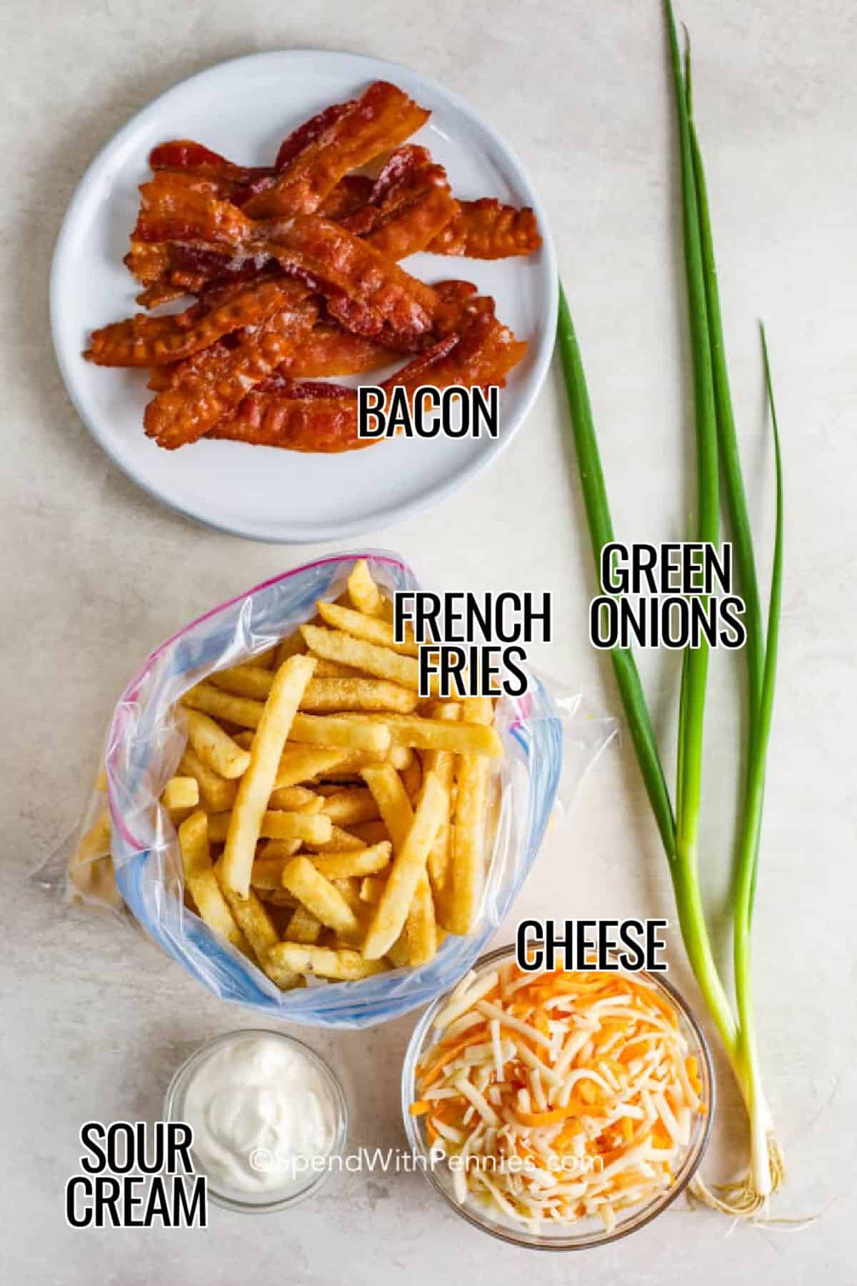 bacon , green onions ,French fries , cheese , sour cream with labels to make Loaded Cheese Fries