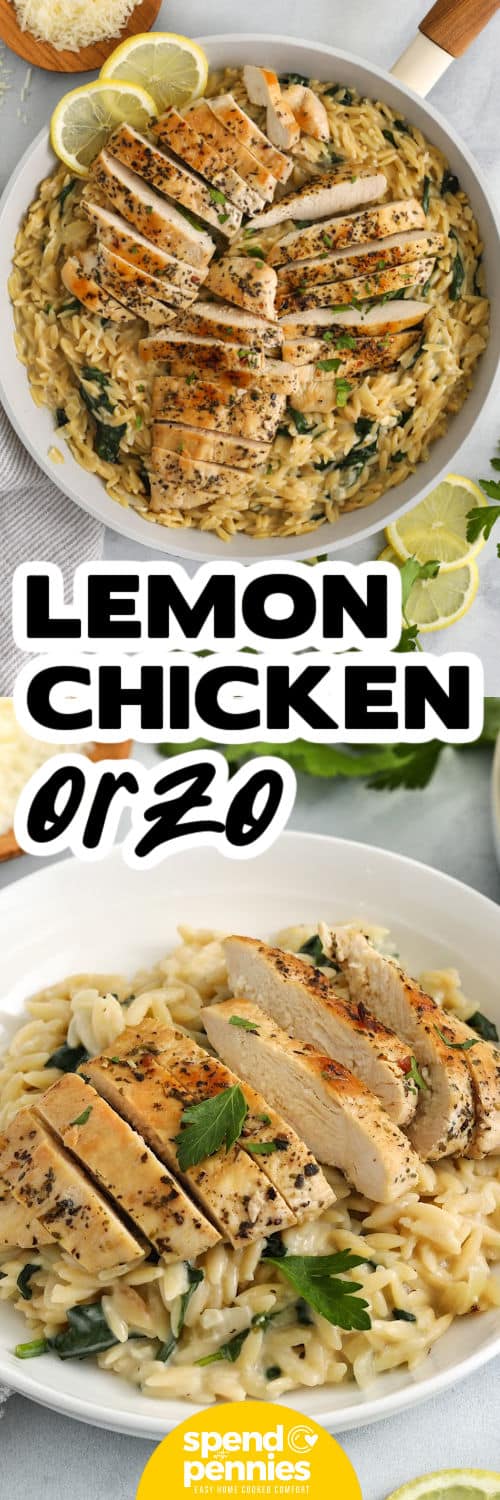 Lemon Chicken Orzo in the pan and plated with a title