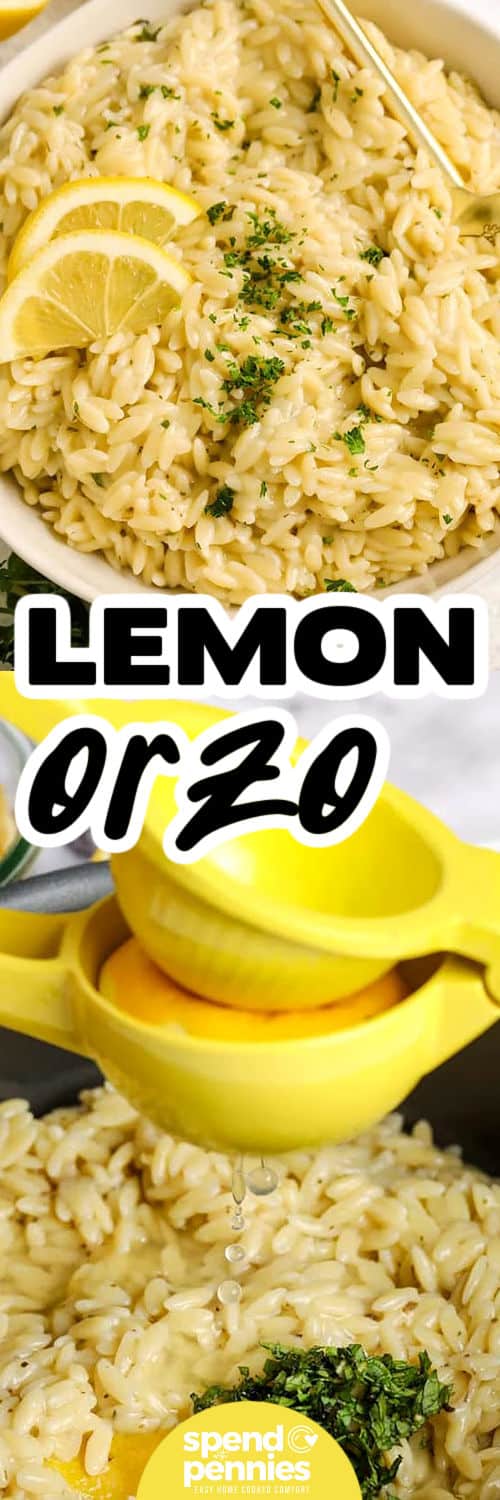 Lemon Orzo in the pot and plated with a title