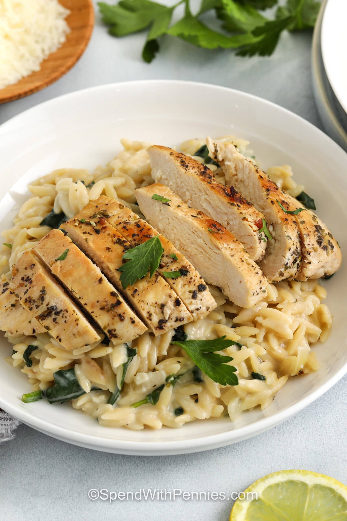 close up of Lemon Chicken Orzo with sliced chicken on top