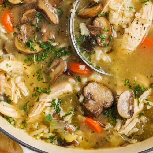 close up of Chicken and Mushroom Soup in the pot