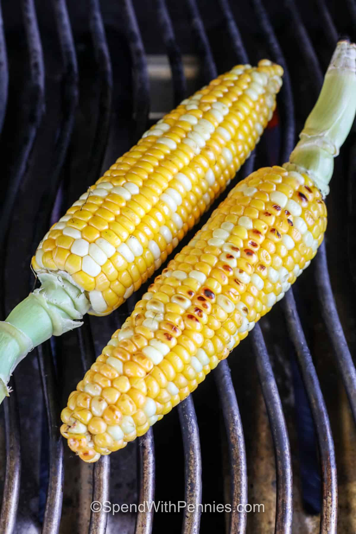 Grilled Corn on the Cob on the grill