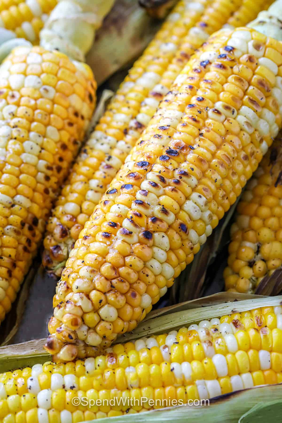 sweet Grilled Corn on the Cob
