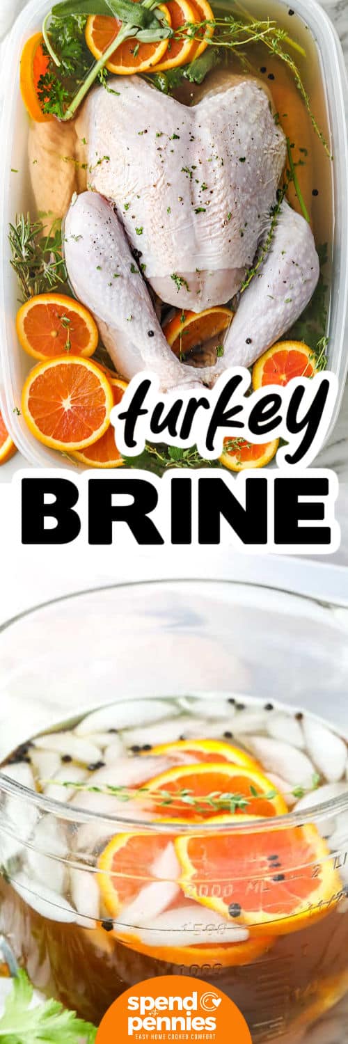 Use this turkey brine recipe before roasting or smoking a whole bird for savory herb flavor in every slice. Kosher salt and brown sugar create the base, while broth, garlic, rosemary, thyme, bay leaves, and sage bring traditional holiday flavor. The mixture comes together quickly on the stovetop and can be prepared in advance to make holiday cooking feel more organized. Pin this recipe for your next Christmas or Thanksgiving meal. #spendwithpennies brine in a bowl and turkey in brine with writing.