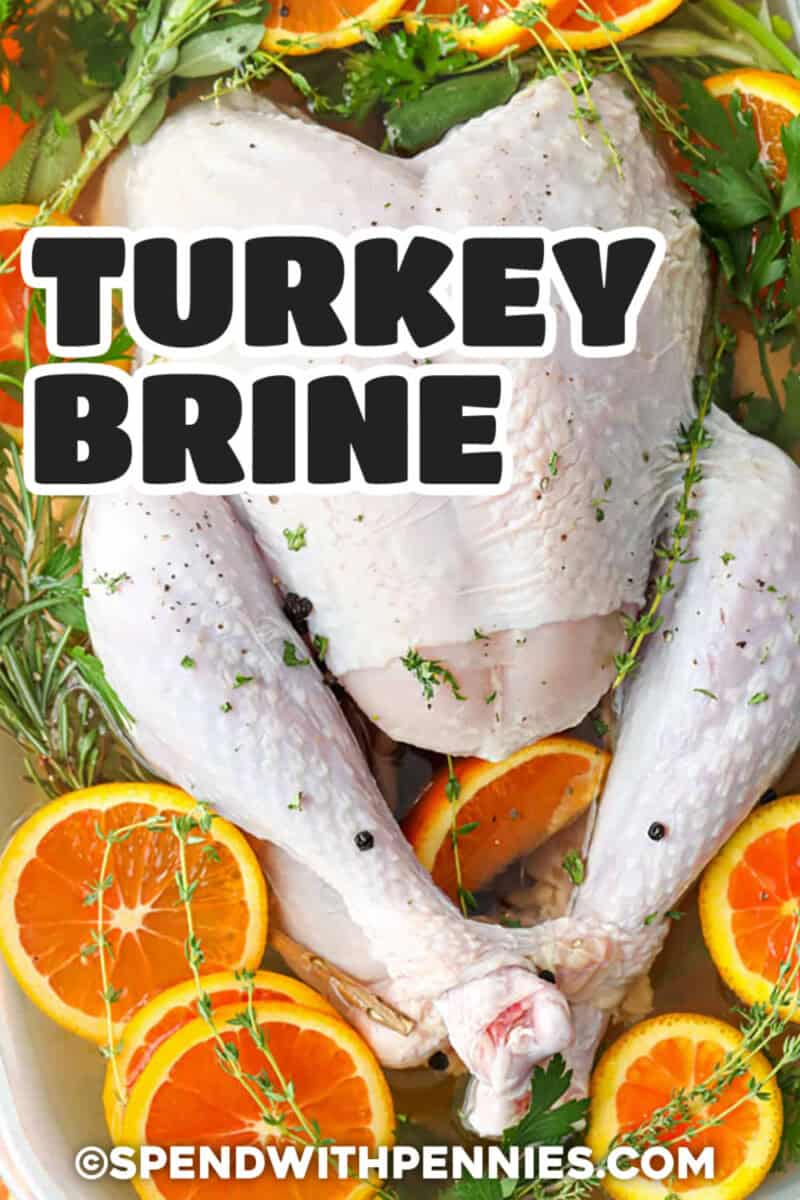 This herb turkey brine combines broth, garlic, rosemary, thyme, sage, peppercorns, and bay leaves in one simple wet brine. It seasons the turkey and helps the lean meat stay tender during cooking. Choose chicken, turkey, or vegetable broth depending on what is available. This make-ahead recipe works well for a traditional roasted turkey or a smoky outdoor-cooked holiday bird. Pin it to your holiday meal board. #spendwithpennies turkey in brine with a title.