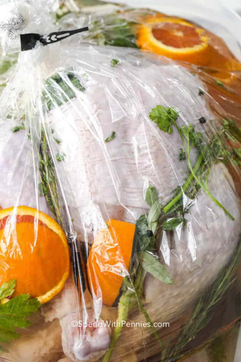 Learn how to make a turkey brine using broth, kosher salt, brown sugar, garlic, peppercorns, fresh herbs, and sliced orange. This easy cooking technique helps create tender, flavorful turkey without complicated seasonings or constant basting. The turkey brine recipe is suitable for roasting or smoking. Prepare it ahead and keep the bird refrigerated throughout the soak for easier holiday meal planning. #spendwithpennies uncooked turkey in brine in a plastic bag