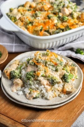 plated Chicken Divan with casserole dish full.