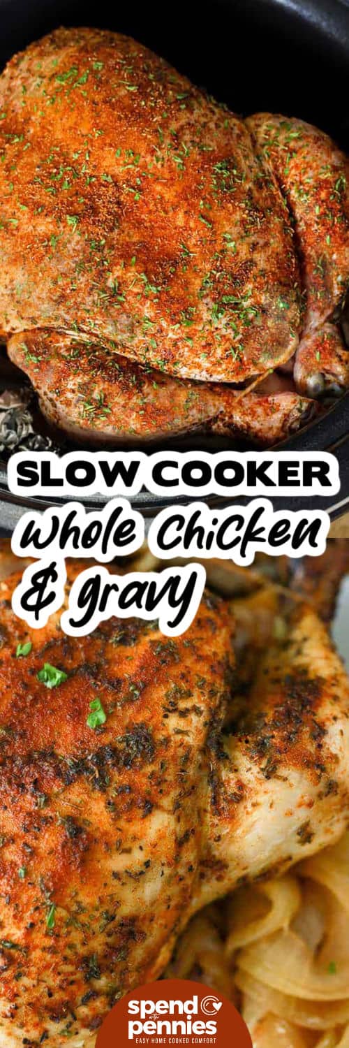 This juicy slow cooker whole chicken and gravy recipe is ideal for busy days when dinner still needs to feel warm and homemade. It takes only a few minutes to coat the chicken with olive oil, smoked paprika, thyme, garlic powder, and seasoned salt. The crockpot handles the cooking, and the flavorful juices become a smooth gravy before serving. Pair it with potatoes, carrots, or biscuits. Pin it for an easy comfort-food dinner. #spendwithpennies Slow Cooker Whole Chicken & Gravy in the pot and close up with a title