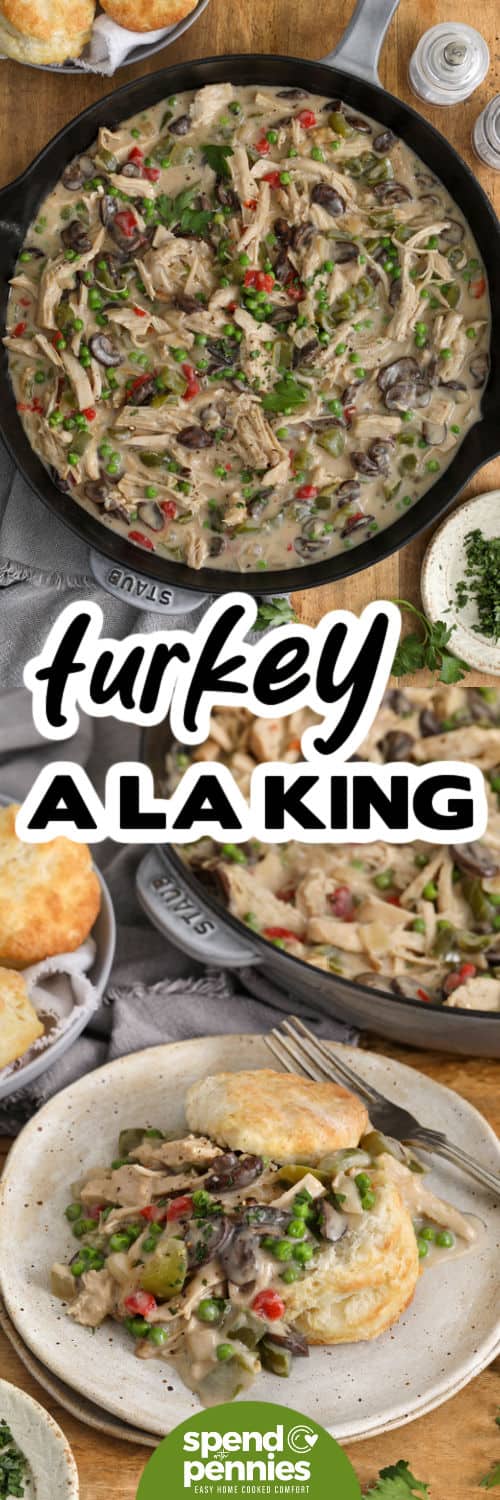Turkey à la king brings leftover turkey to the table in a delicious new way. This easy skillet dinner combines tender turkey with mushrooms, peas, bell pepper, and pimentos in a creamy homemade sauce. Spoon it over rice, pasta, or biscuits for a filling meal that makes simple ingredients shine. It is a great way to use cooked turkey without serving the same leftovers again. Save this recipe and make it soon. #spendwithpennies top image: turkey a la king in a skillet with a title bottom image: plated turkey a la king with biscuits