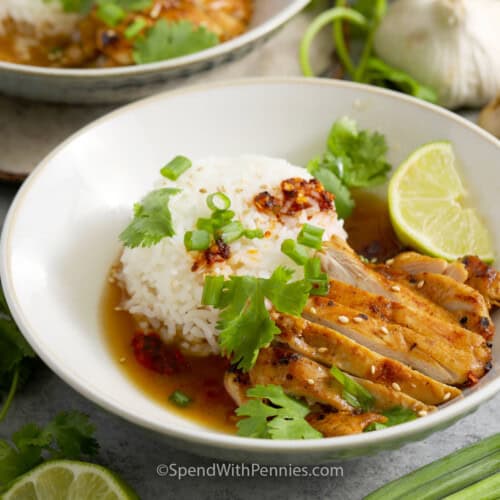 rice, broth, and sliced chicken in a bowl topped with cilantro.