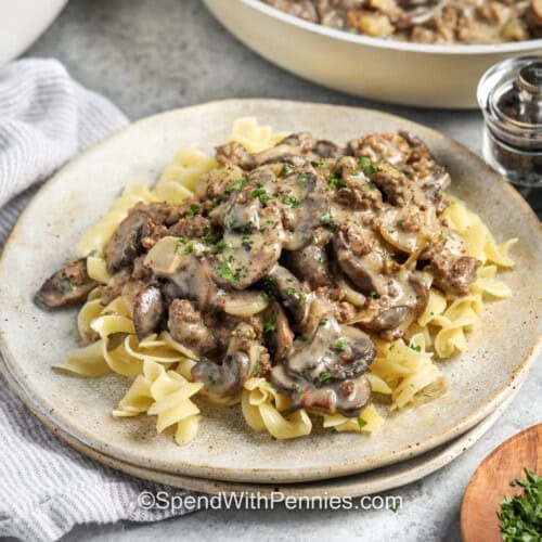 Ground Beef Stroganoff on a plate of noodles.