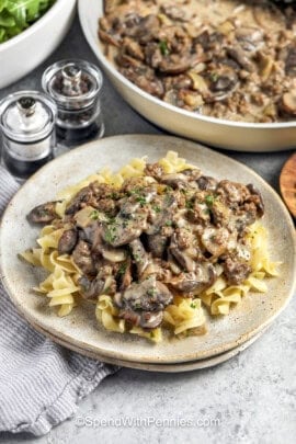 plated Ground Beef Stroganoff on egg noodles.