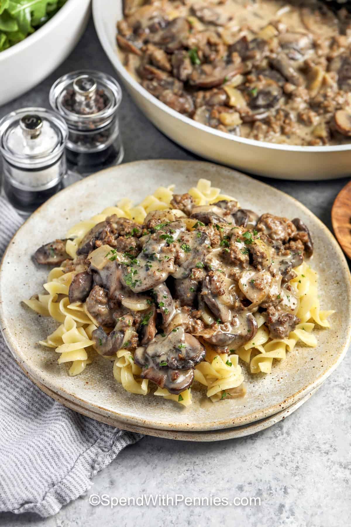plated Ground Beef Stroganoff on egg noodles.