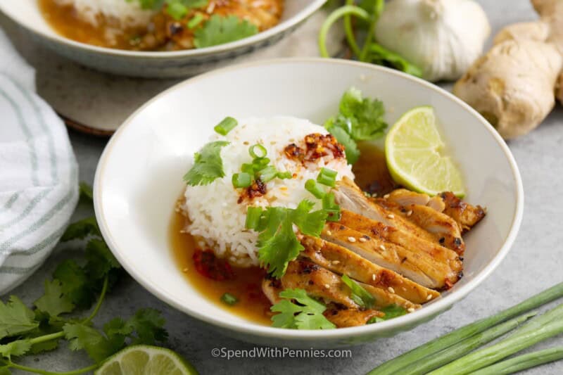 rice, broth and sliced chicken in a bowl.
