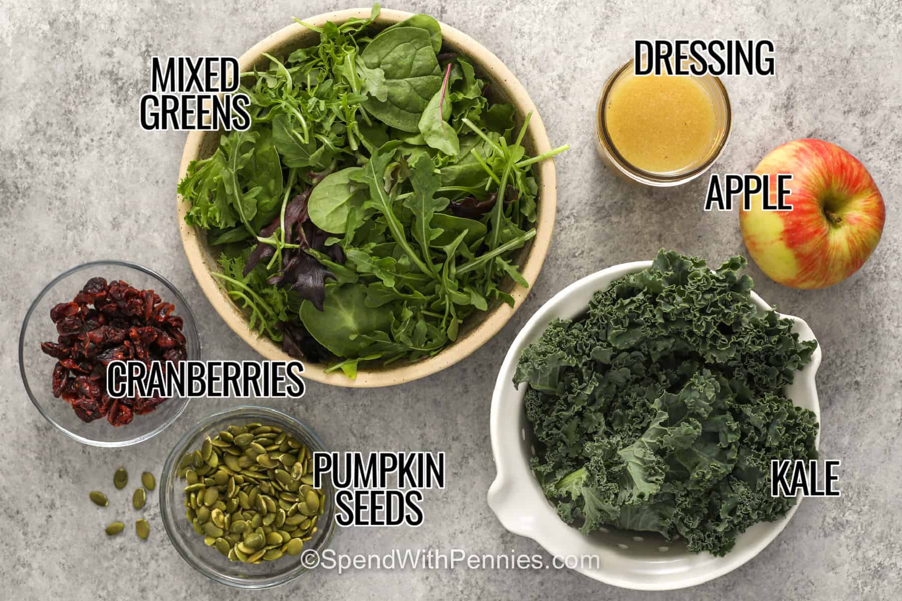 This Thanksgiving salad brings crisp, colorful fall flavor to a table filled with cozy holiday favorites. Sweet Honeycrisp or Pink Lady apples pair with tart dried cranberries, tender kale, peppery mixed greens, and crunchy pumpkin seeds. A homemade apple cider vinaigrette with honey and Dijon adds the perfect sweet-tangy finish. It is easy to prep ahead and requires no oven space. Save this recipe for Thanksgiving dinner. #spendwithpennies Labelled ingredients for Thanksgiving Salad.