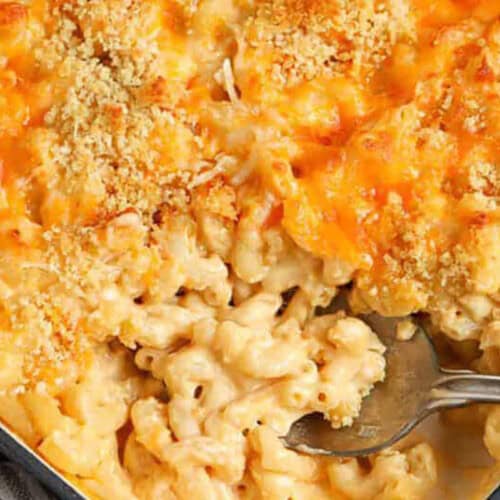 close up of creamy Baked Mac and Cheese Recipe.